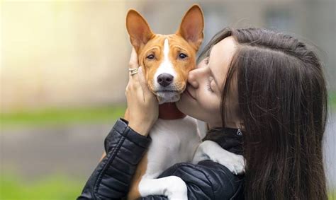 pet sitting sydney jobs